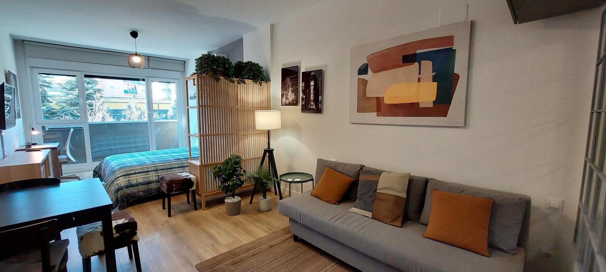 Europa 30 Apartment